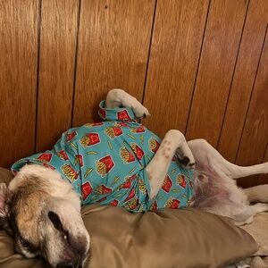 Meet your Posher, Dalton